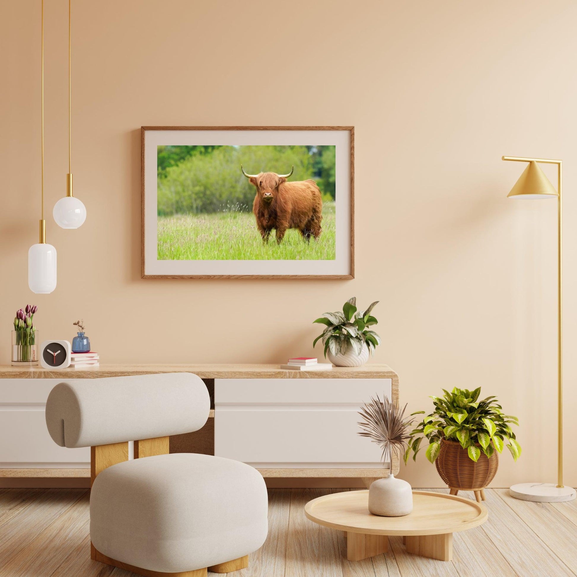 Diamond Painting Scottish Highlander - Niedlicher Scottish Highlander an einem sonnigen Tag - SEOS Shop ®