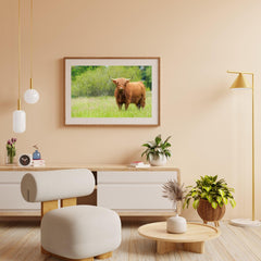 Diamond Painting Scottish Highlander - Niedlicher Scottish Highlander an einem sonnigen Tag - SEOS Shop ®