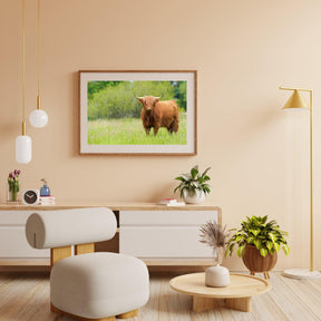 Diamond Painting Scottish Highlander - Niedlicher Scottish Highlander an einem sonnigen Tag - SEOS Shop ®
