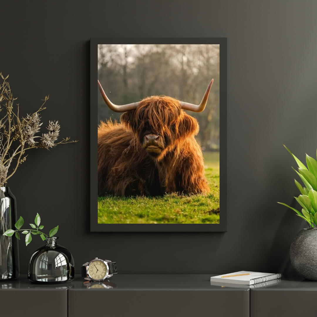 Diamond Painting Schottisches Hochlandrind - Schottisches Hochlandrind aus der Nähe - SEOS Shop ®