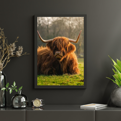 Diamond Painting Schottisches Hochlandrind - Schottisches Hochlandrind aus der Nähe - SEOS Shop ®