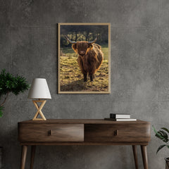 Diamond Painting Scottish Highlander - Schottischer Hochlandrinder grast auf den Feldern - SEOS Shop ®