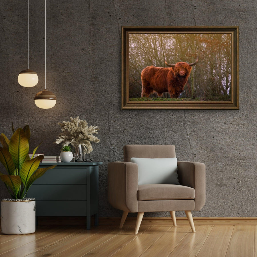 Diamond Painting Scottish Highlander - Scottish Highlander in der Abendsonne - SEOS Shop ®