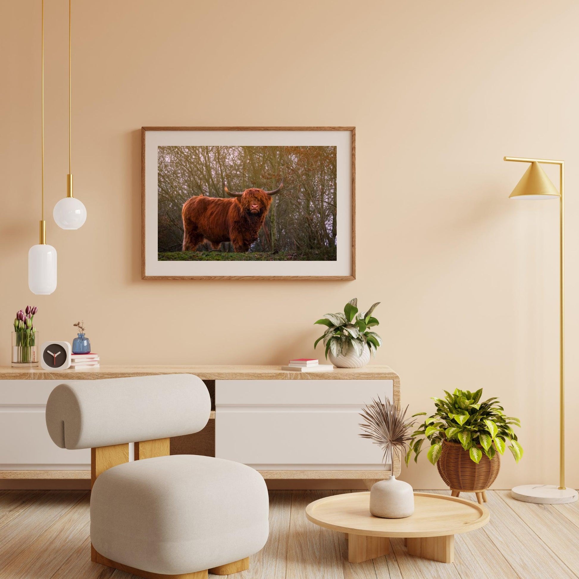 Diamond Painting Scottish Highlander - Scottish Highlander in der Abendsonne - SEOS Shop ®