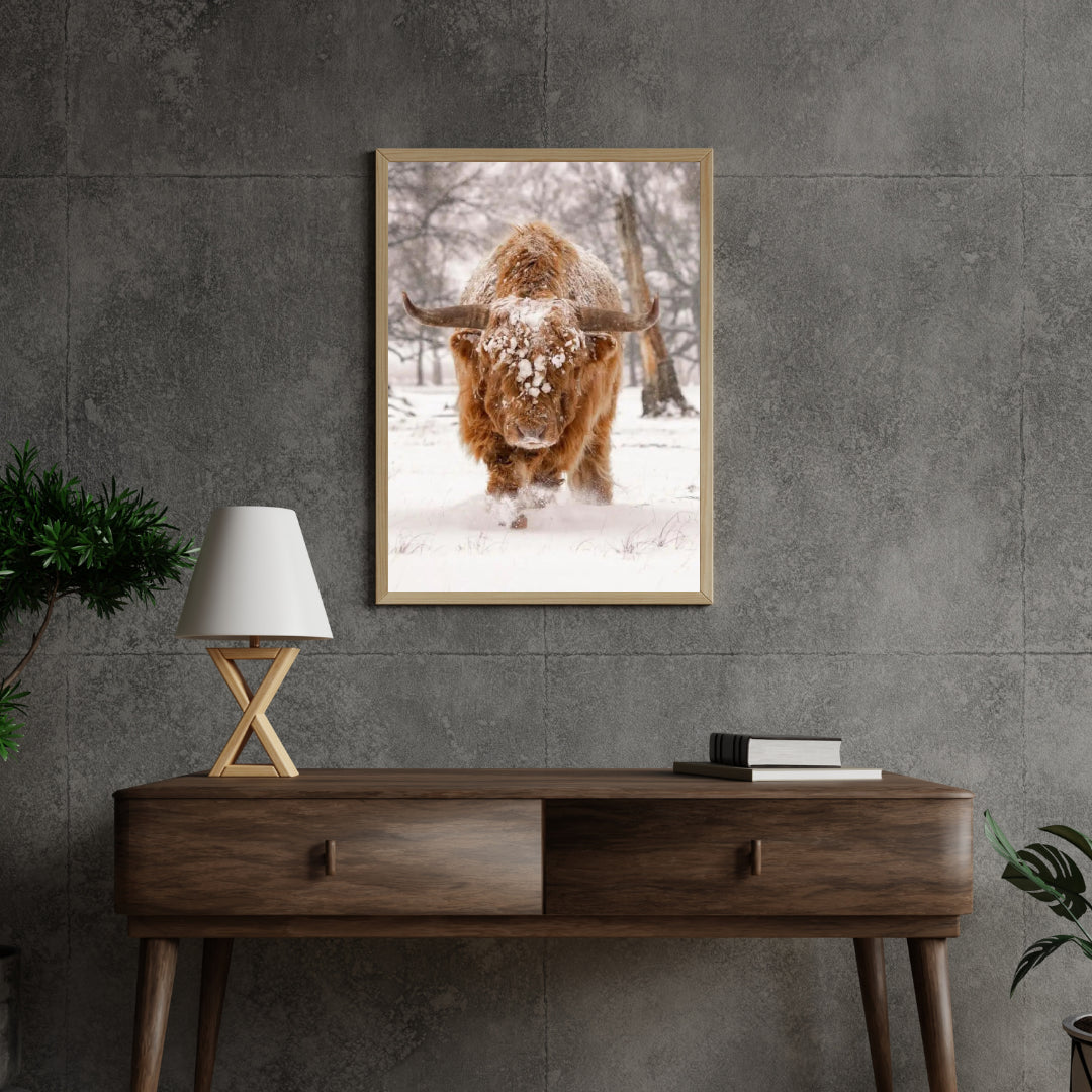Diamond Painting Scottish Highlander - Scottish Highlander in einer natürlichen Winterlandschaft - SEOS Shop ®
