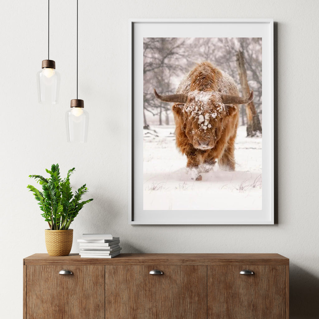 Diamond Painting Scottish Highlander - Scottish Highlander in einer natürlichen Winterlandschaft - SEOS Shop ®