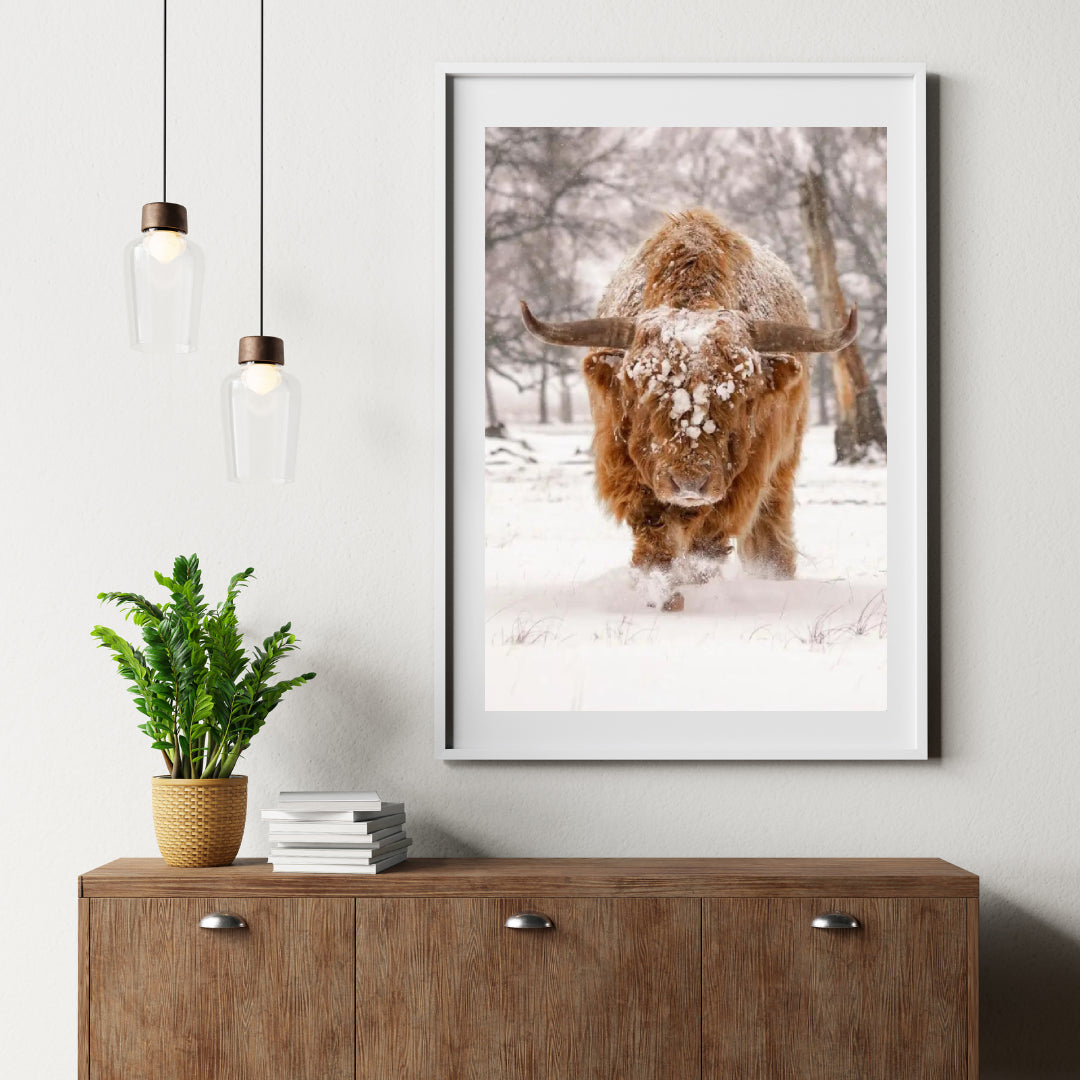 Diamond Painting Scottish Highlander - Scottish Highlander in einer natürlichen Winterlandschaft - SEOS Shop ®