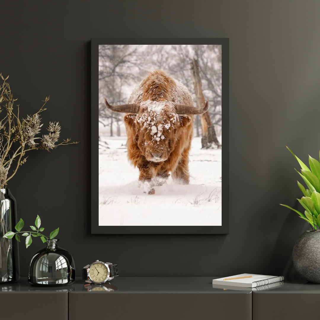 Diamond Painting Scottish Highlander - Scottish Highlander in einer natürlichen Winterlandschaft - SEOS Shop ®