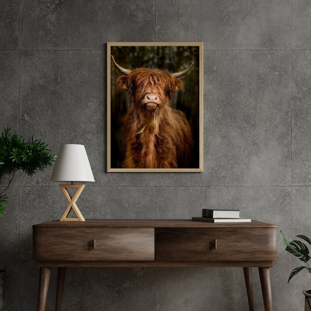 Diamond Painting Scottish Highlander - Scottish Highlander im Wald - SEOS Shop ®