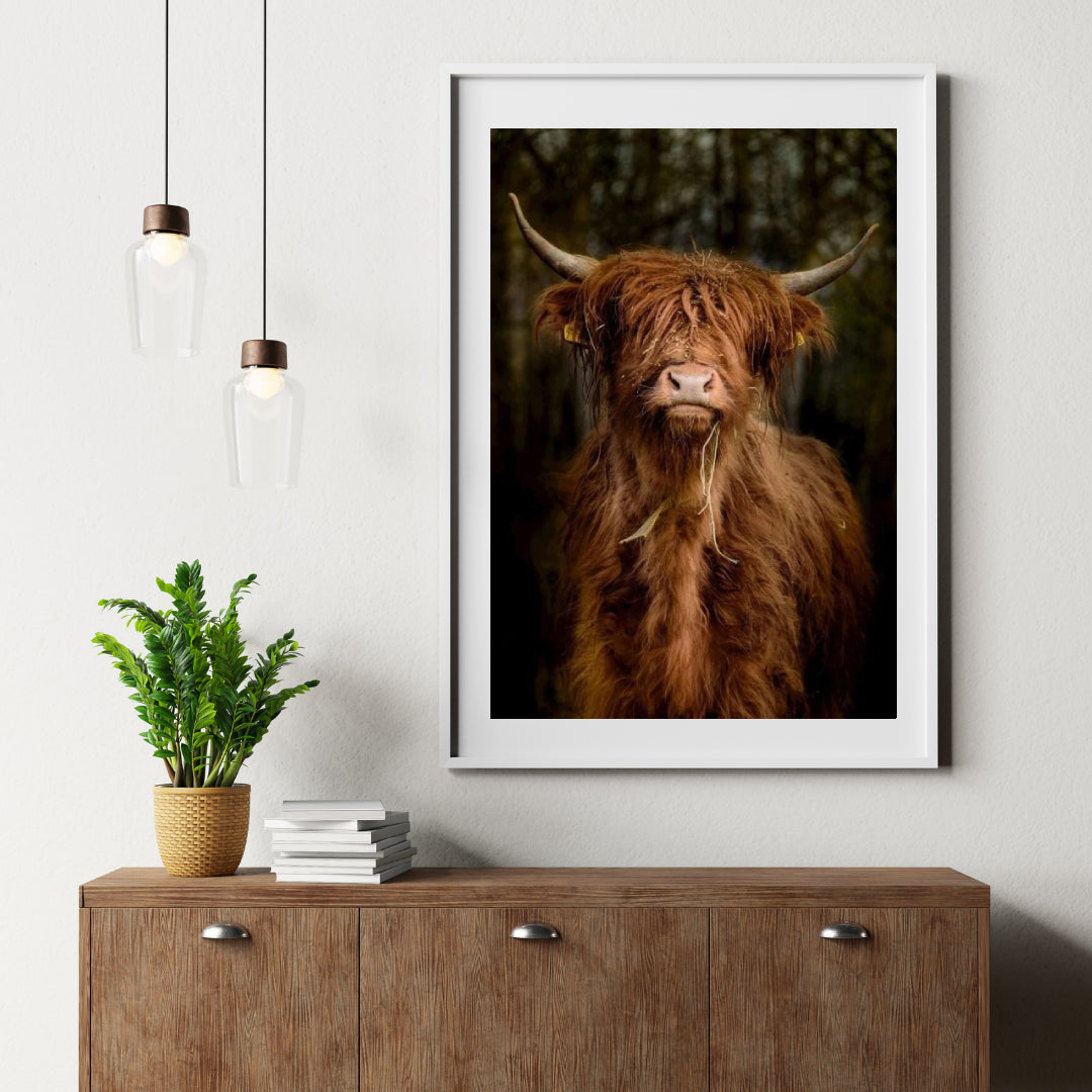 Diamond Painting Scottish Highlander - Scottish Highlander im Wald - SEOS Shop ®