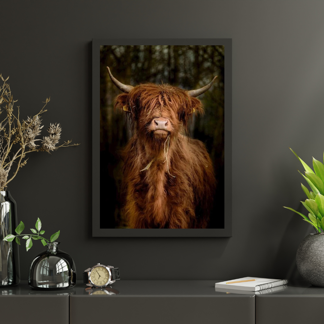 Diamond Painting Scottish Highlander - Scottish Highlander im Wald - SEOS Shop ®