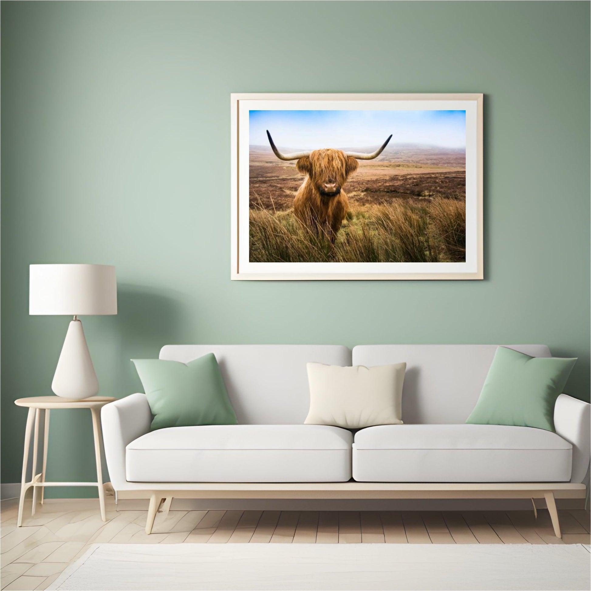 Diamond Painting Scottish Highlander - Scottish Highlander auf dem Feld schaut in die Kamera - SEOS Shop ®
