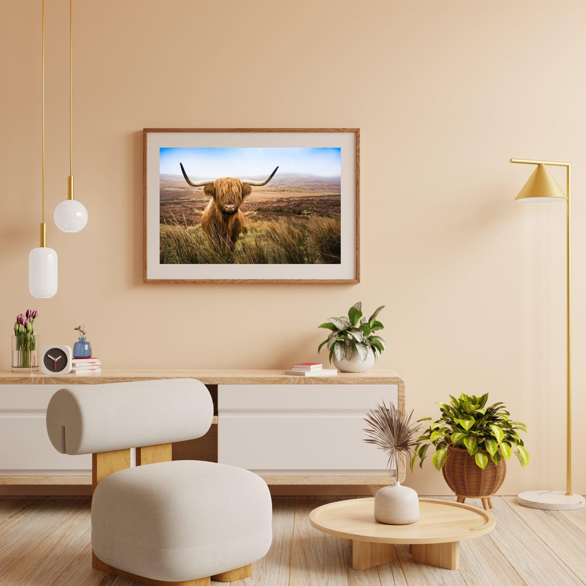 Diamond Painting Scottish Highlander - Scottish Highlander auf dem Feld schaut in die Kamera - SEOS Shop ®