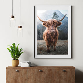 Diamond Painting Scottish Highlander - Scottish Highlander auf einer gefrorenen Wiese in den italienischen Bergen - SEOS Shop ®