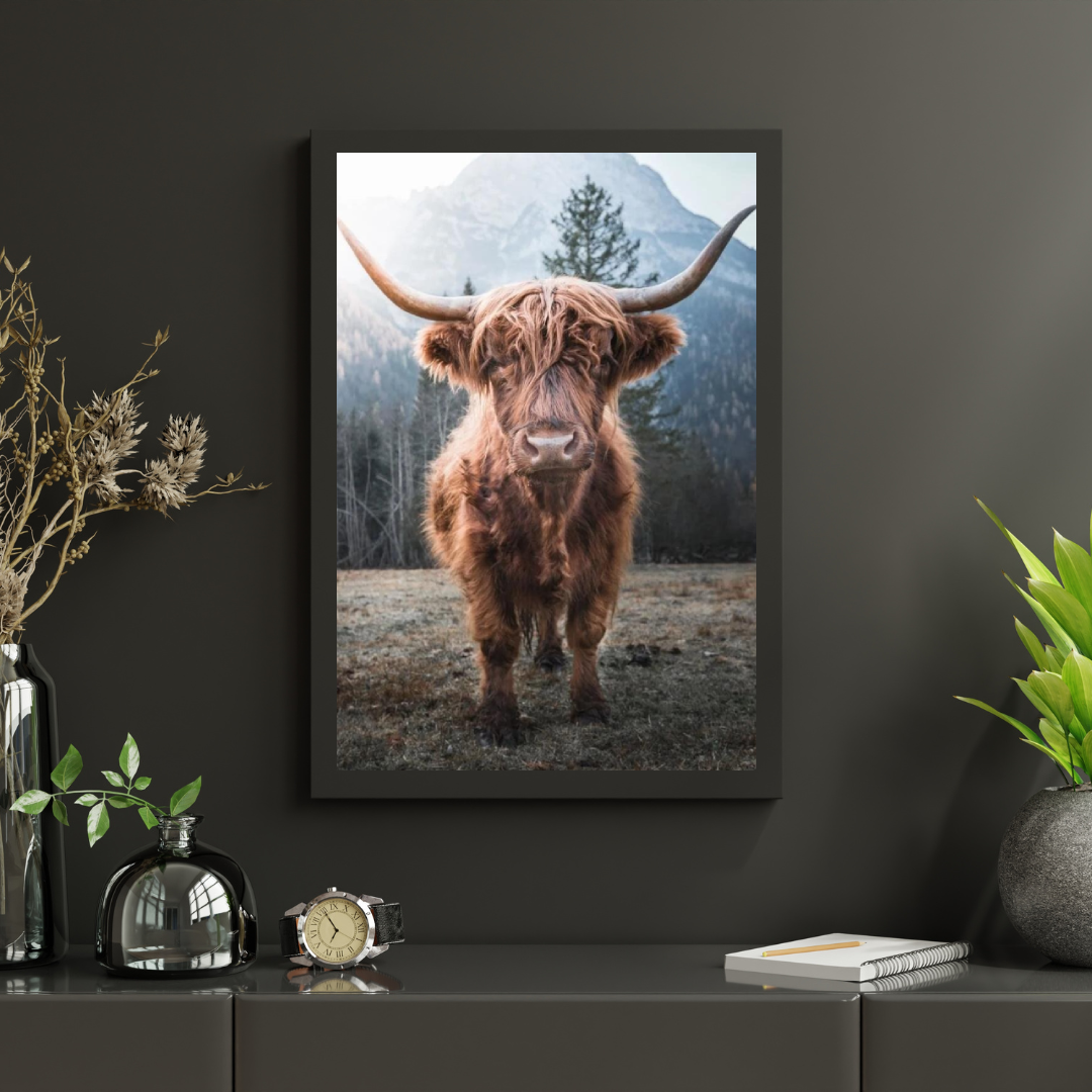 Diamond Painting Scottish Highlander - Scottish Highlander auf einer gefrorenen Wiese in den italienischen Bergen - SEOS Shop ®