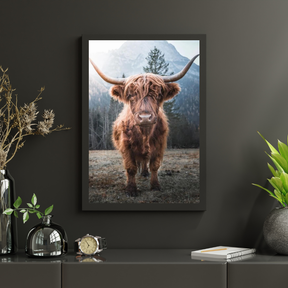 Diamond Painting Scottish Highlander - Scottish Highlander auf einer gefrorenen Wiese in den italienischen Bergen - SEOS Shop ®