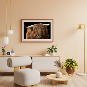 Diamond Painting Scottish Highlander - Scottish Highlander aus der Nähe - SEOS Shop ®