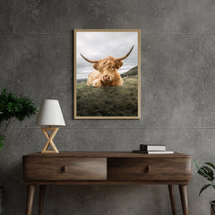 Diamond Painting Scottish Highlander - Robuster Scottish Highlander ruht auf der Ebene - SEOS Shop ®