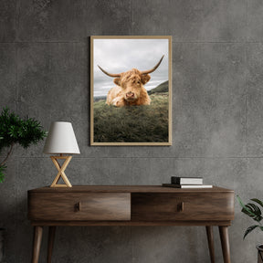 Diamond Painting Scottish Highlander - Robuster Scottish Highlander ruht auf der Ebene - SEOS Shop ®