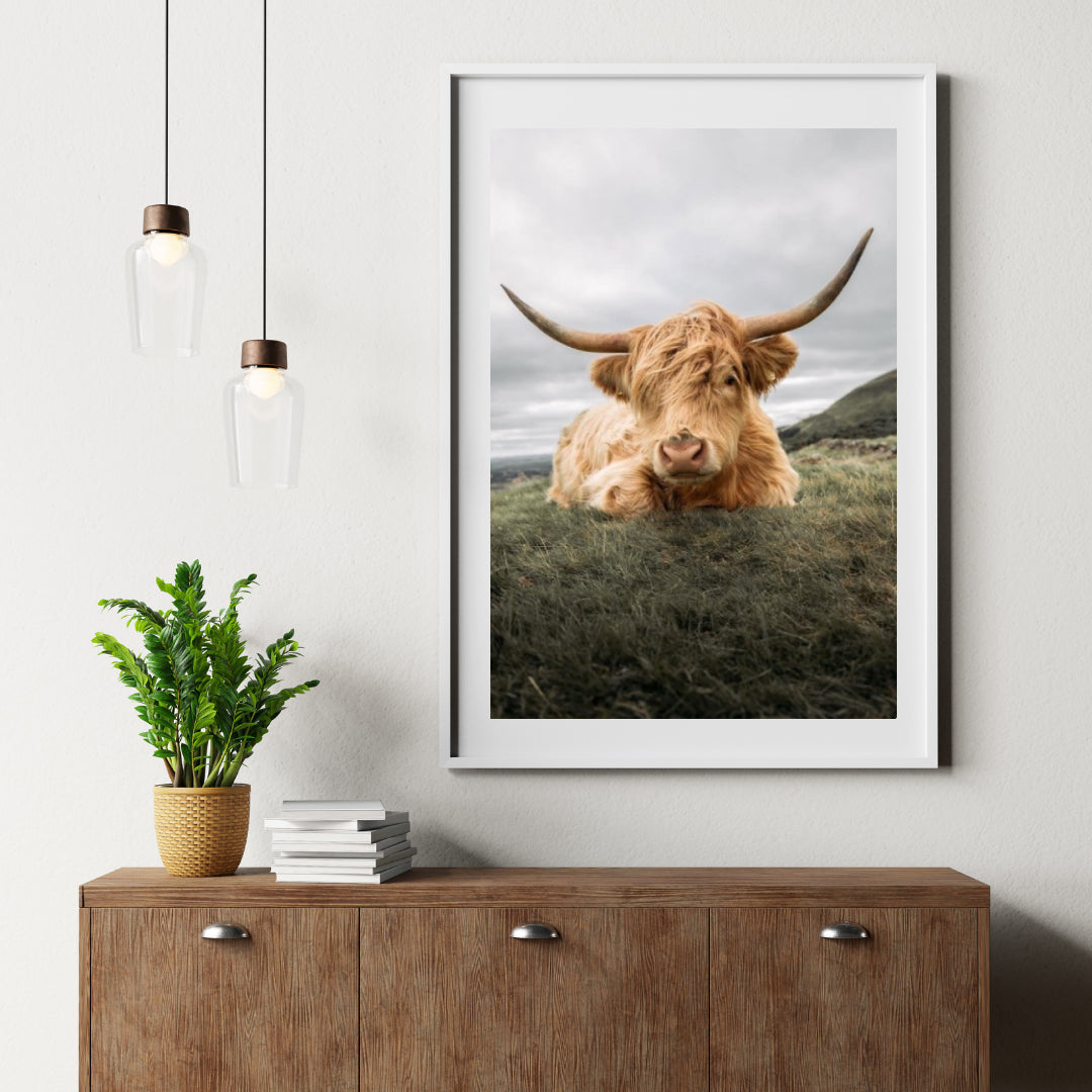 Diamond Painting Scottish Highlander - Robuster Scottish Highlander ruht auf der Ebene - SEOS Shop ®