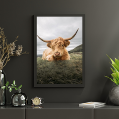 Diamond Painting Scottish Highlander - Robuster Scottish Highlander ruht auf der Ebene - SEOS Shop ®