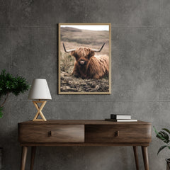 Diamond Painting Scottish Highlander - Freundlicher Scottish Highlander ruht auf dem Feld - SEOS Shop ®