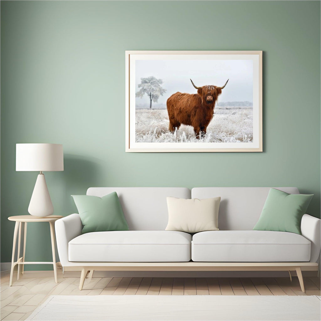 Diamond Painting Scottish Highlander - Wolliger Scottish Highlander auf der Winterwiese - SEOS Shop ®
