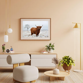 Diamond Painting Scottish Highlander - Wolliger Scottish Highlander auf der Winterwiese - SEOS Shop ®