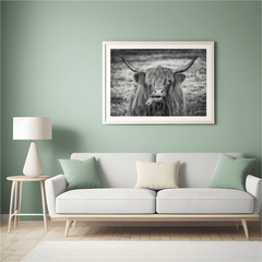 Diamond Painting Scottish Highlander - Schwarz-Weiß-Bild eines Scottish Highlander - SEOS Shop ®