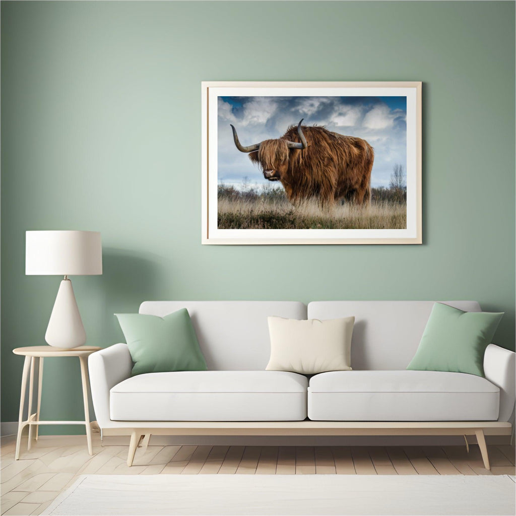 Diamond Painting Schottischer Hochlandrinder - SEOS Shop ®