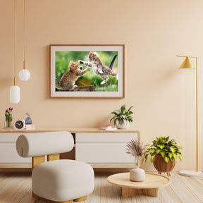 Diamond Painting Spielende Kätzchen - SEOS Shop ®