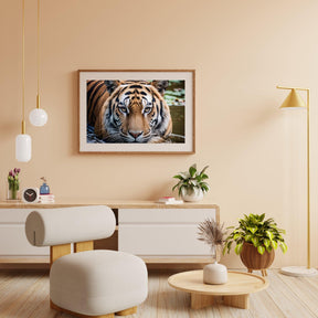 Diamantmalerei Tiger im Wasser - SEOS Shop ®