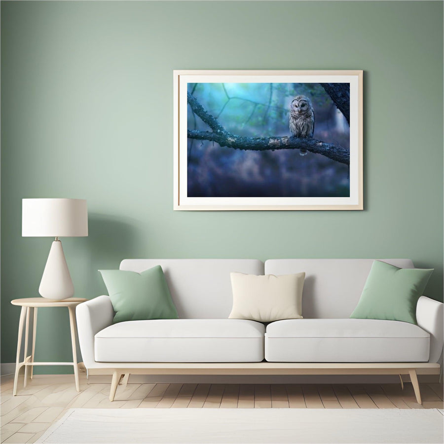 Diamond Painting Eule auf Ast – SEOS Shop ®