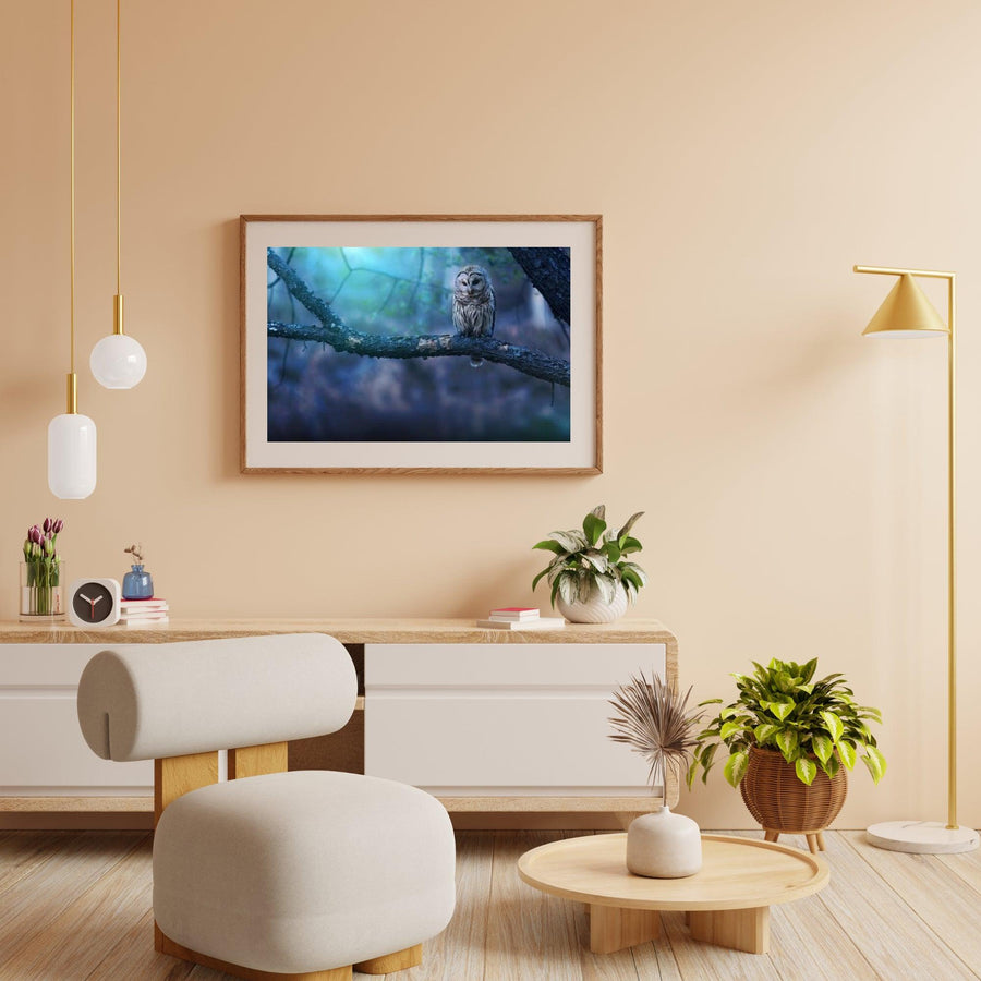 Diamond Painting Eule auf Ast – SEOS Shop ®