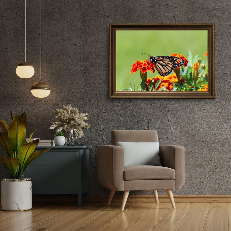 Diamond Painting Schmetterling - SEOS Shop ®