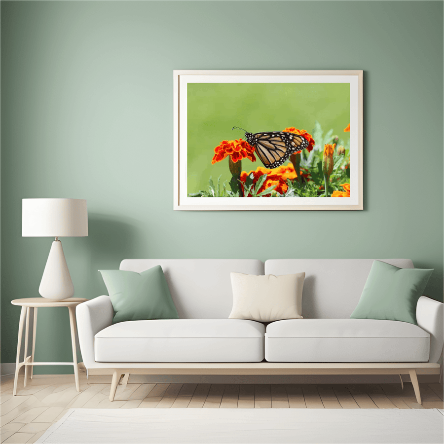 Diamond Painting Schmetterling - SEOS Shop ®