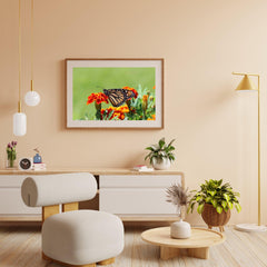 Diamond Painting Schmetterling - SEOS Shop ®