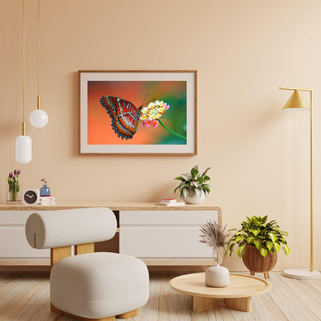 Diamantmalerei Schmetterling auf Blume - SEOS Shop ®
