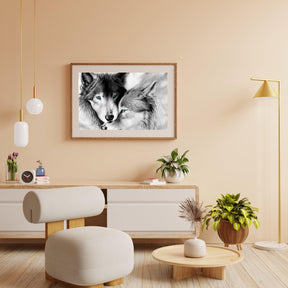 Diamantmalerei Weißes Wolfspaar - SEOS Shop ®
