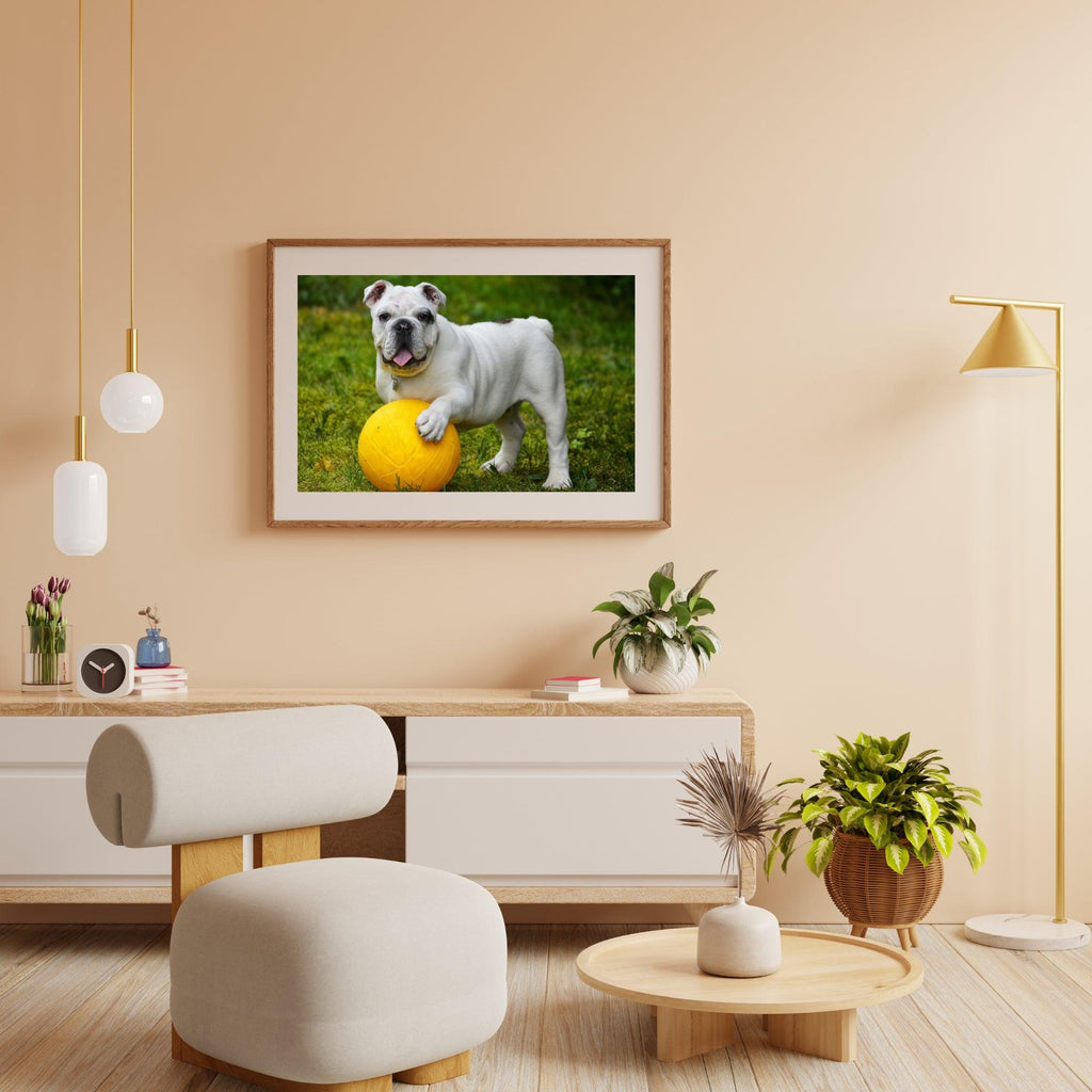 Diamond Painting Weiße Bulldogge mit Ball - SEOS Shop ®