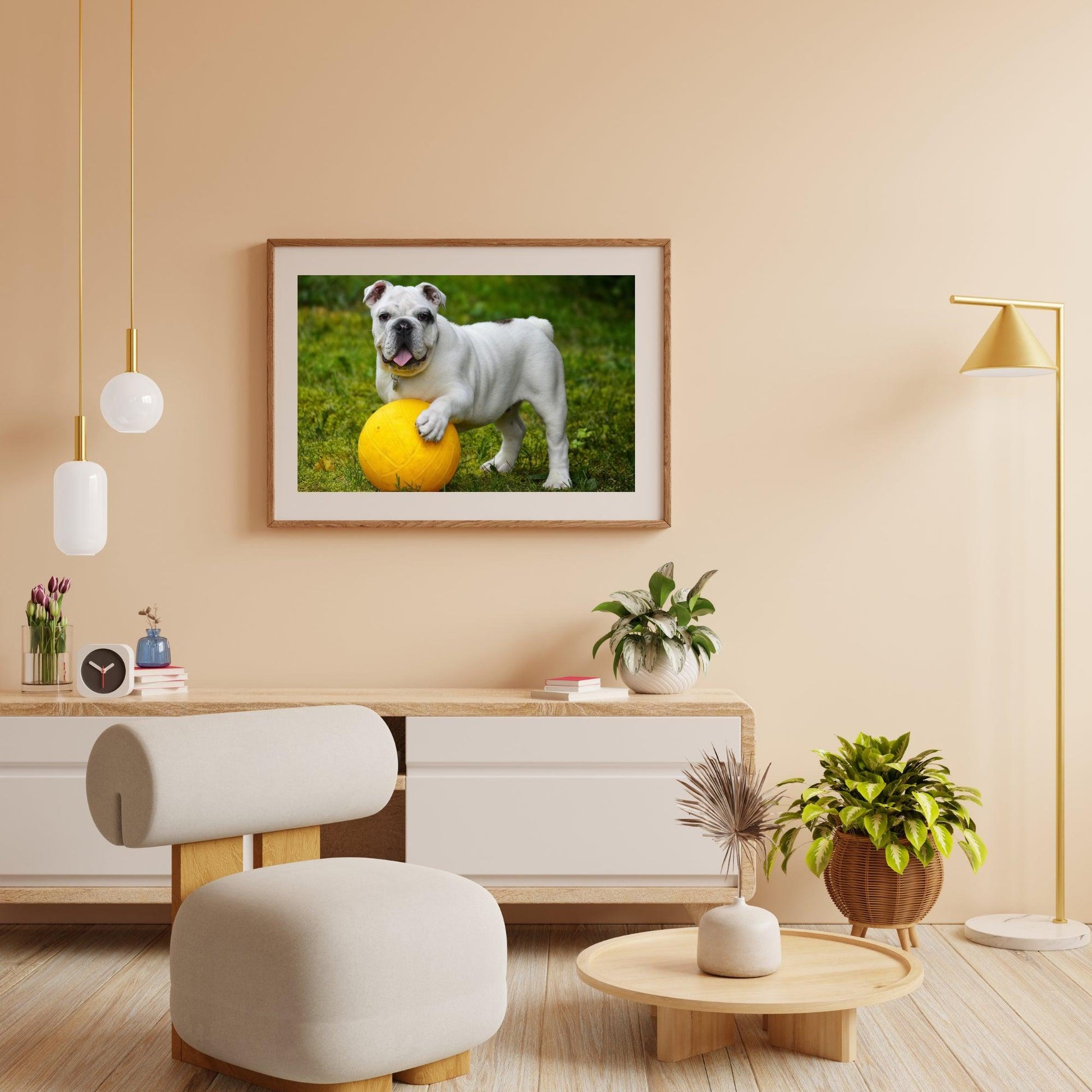 Diamond Painting Weiße Bulldogge mit Ball - SEOS Shop ®