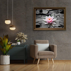 Diamantmalerei Schwarz-Weiß-Foto mit rosa Seerose – SEOS Shop ®