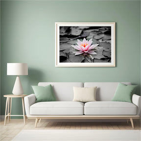 Diamantmalerei Schwarz-Weiß-Foto mit rosa Seerose – SEOS Shop ®