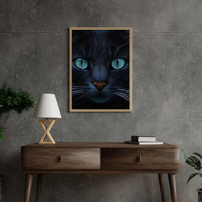 Diamantmalerei Schwarze Katze und blaue Augen - SEOS Shop ®
