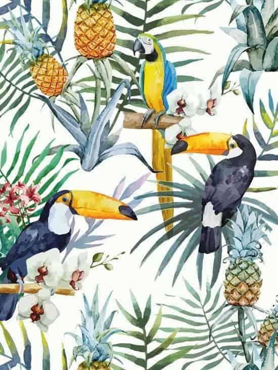 Diamond Painting Set Exotische Vögel - SEOS Shop ®