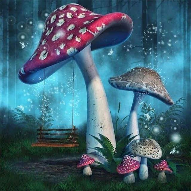 Diamantmalerei Lila Pilz - SEOS Shop ®