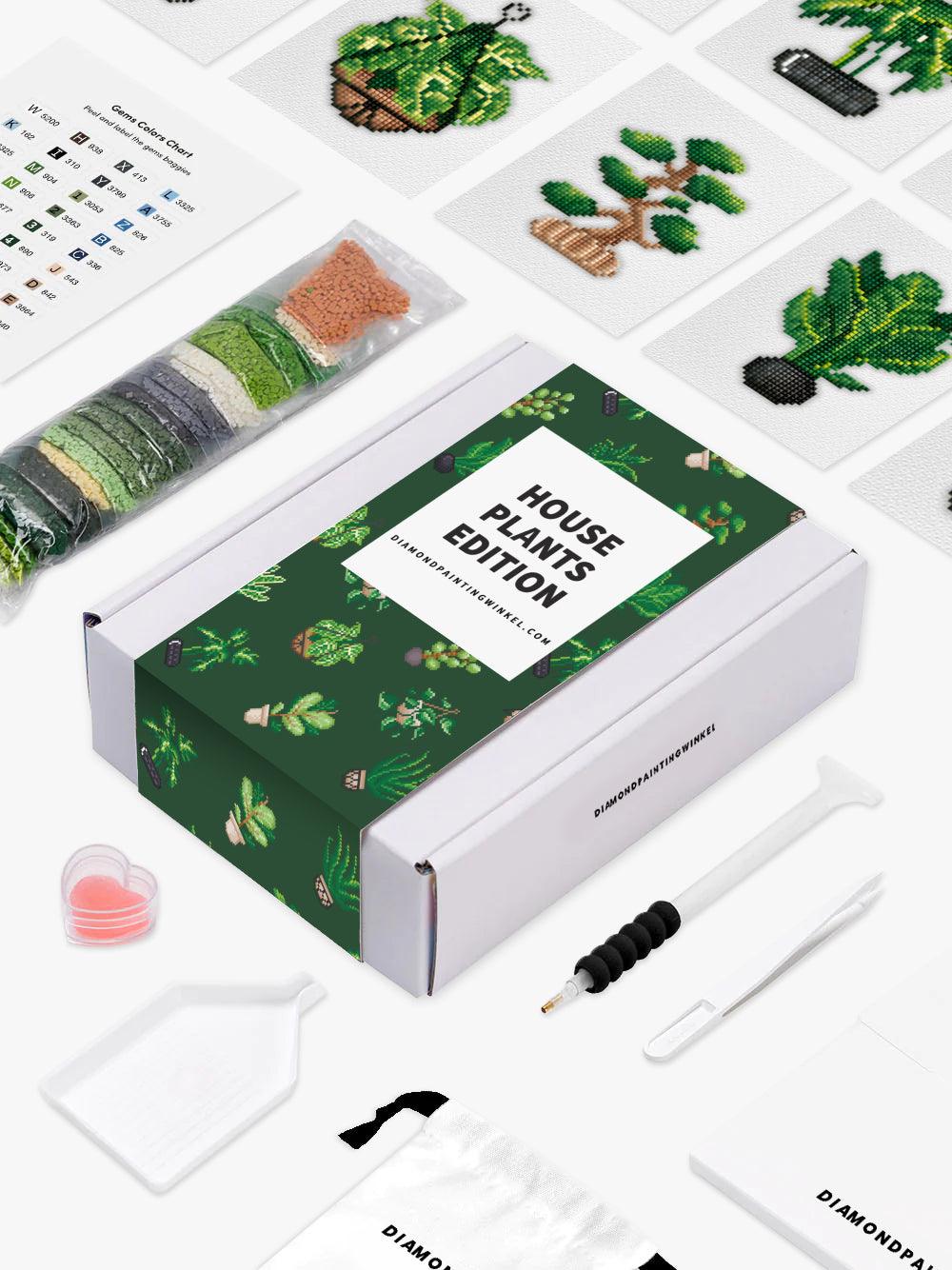 Mini-Meisterwerke – Zimmerpflanzen (12er-Set)