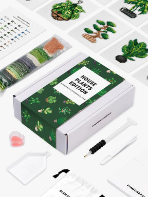 Mini-Meisterwerke – Zimmerpflanzen (12er-Set)