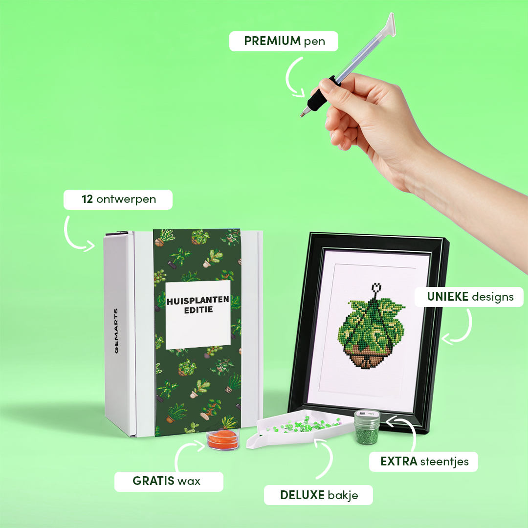 Mini-Meisterwerke – Zimmerpflanzen (12er-Set)