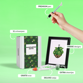 Mini-Meisterwerke – Zimmerpflanzen (12er-Set)